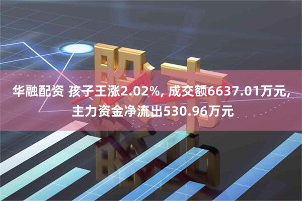 华融配资 孩子王涨2.02%, 成交额6637.01万元, 主力资金净流出530.96万元