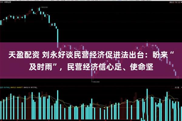 天盈配资 刘永好谈民营经济促进法出台：盼来“及时雨”，民营经济信心足、使命坚