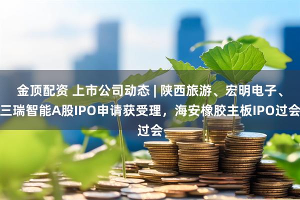 金顶配资 上市公司动态 | 陕西旅游、宏明电子、三瑞智能A股IPO申请获受理，海安橡胶主板IPO过会