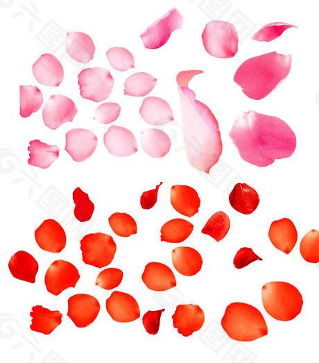 赢盈配资 上半年IPO受理超去年全年百单，北交所为何成主力军