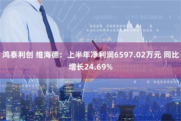 鸿泰利创 维海德：上半年净利润6597.02万元 同比增长24.69%