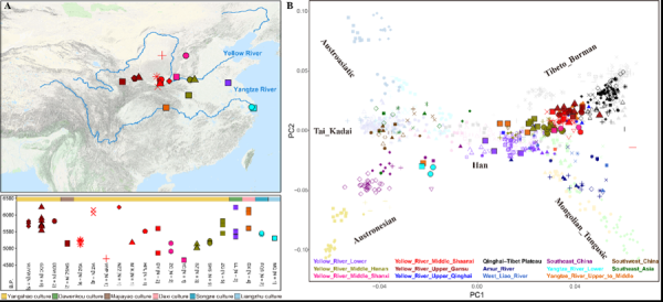 杜德配资 填补空白！复旦团队最新成果为理解东亚人群扩张提供新视角