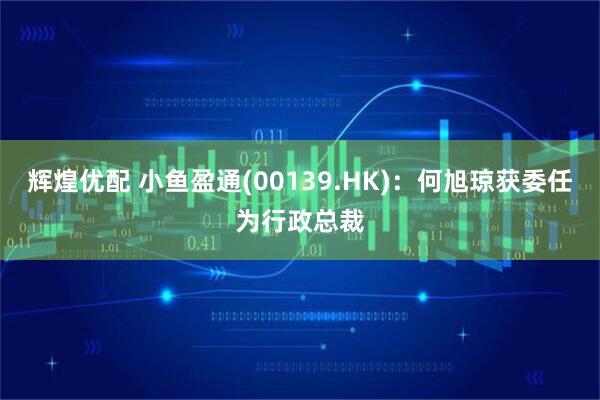 辉煌优配 小鱼盈通(00139.HK)：何旭琼获委任为行政总裁