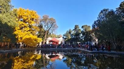 德邦国际 大美北京 | 香山红叶红透了，再不去就要等明年